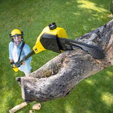 Best Lawn Pest Prevention  in Walbridge, OH